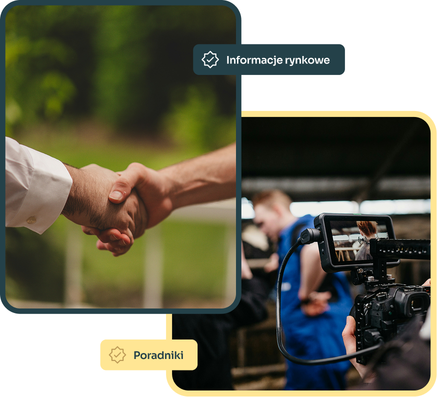 Wiedza i wsparcie w sprzedaży